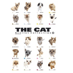 The Cat collection Постер