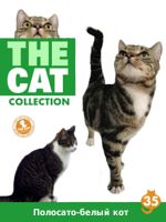 The Cat collection № 35 : Бело-полосатый кот